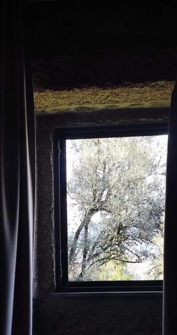 Casa Nova Das Oliveiras Брага Экстерьер фото